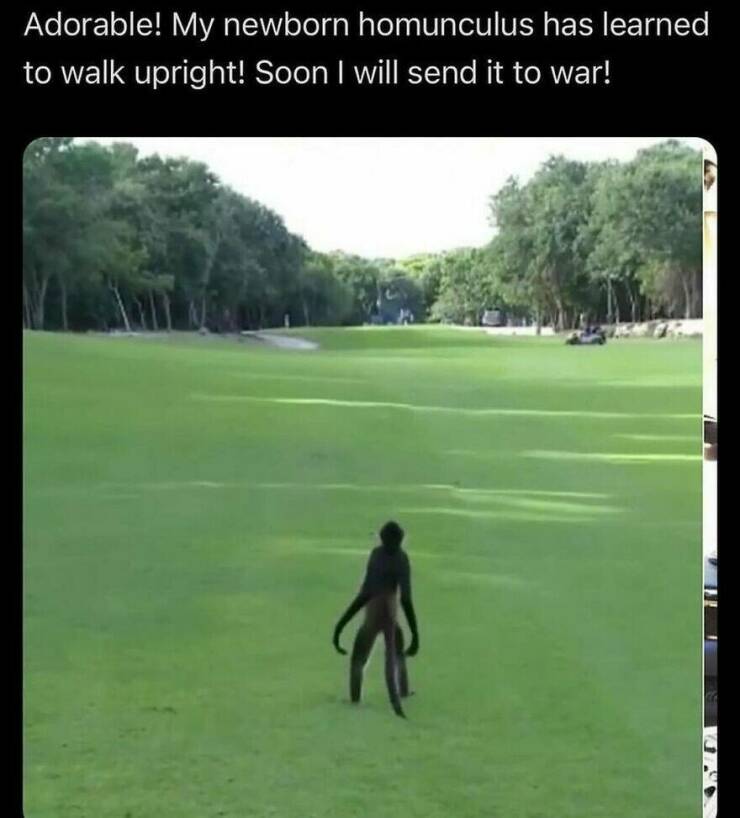 Sadistic Memes With A Twist Of Humor That’ll Make You Laugh