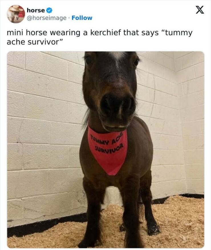 Sadistic Memes With A Twist Of Humor That’ll Make You Laugh