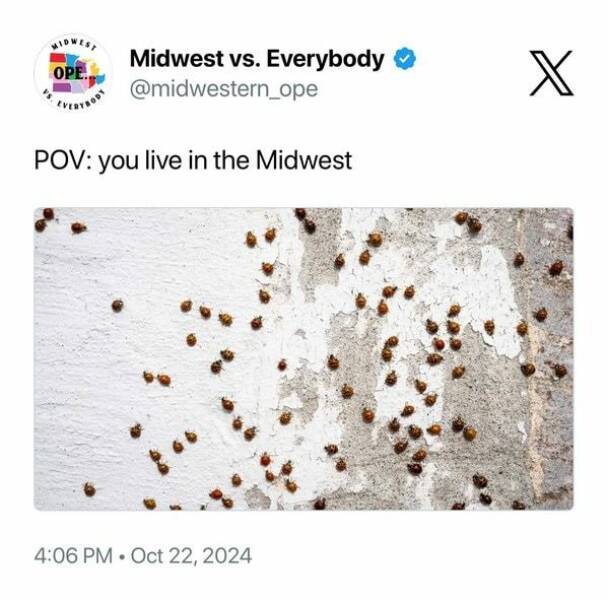 Midwest Memes That Hit Home