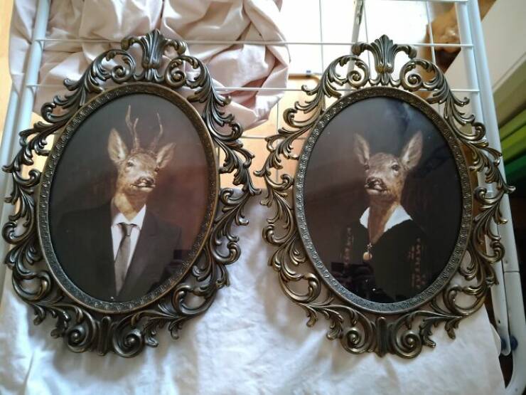Bizarre Thrift Store Finds That Are Truly One Of A Kind