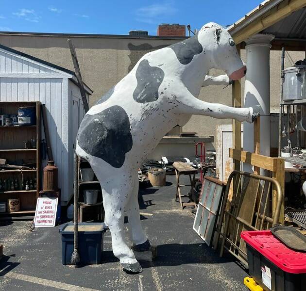 Bizarre Thrift Store Finds That Are Truly One Of A Kind