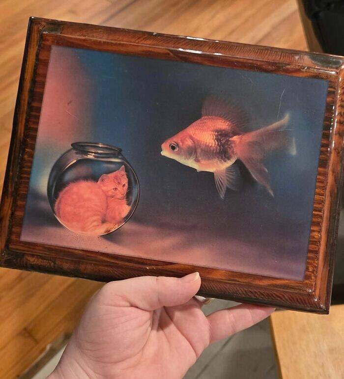 Bizarre Thrift Store Finds That Are Truly One Of A Kind