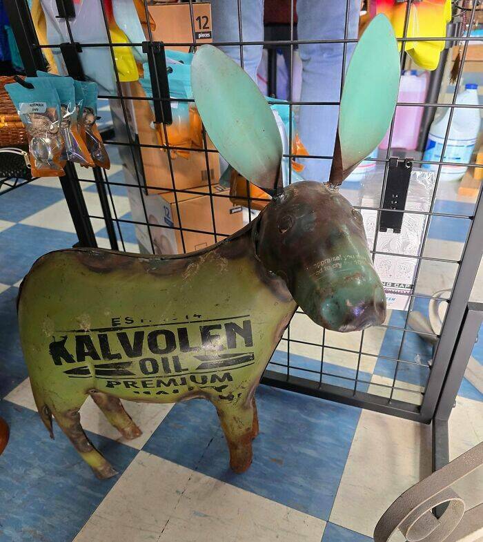 Bizarre Thrift Store Finds That Are Truly One Of A Kind