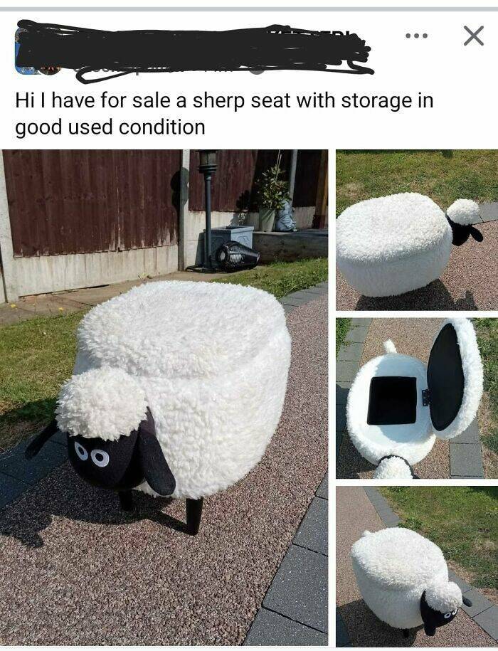 Outrageous Ads People Posted That Somehow Expected Buyers