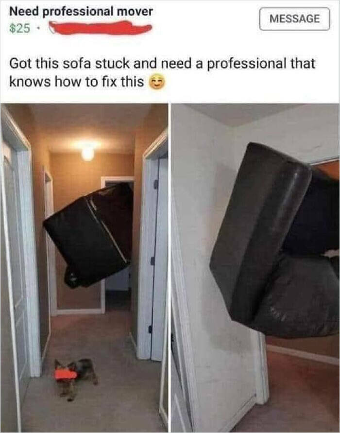 Outrageous Ads People Posted That Somehow Expected Buyers