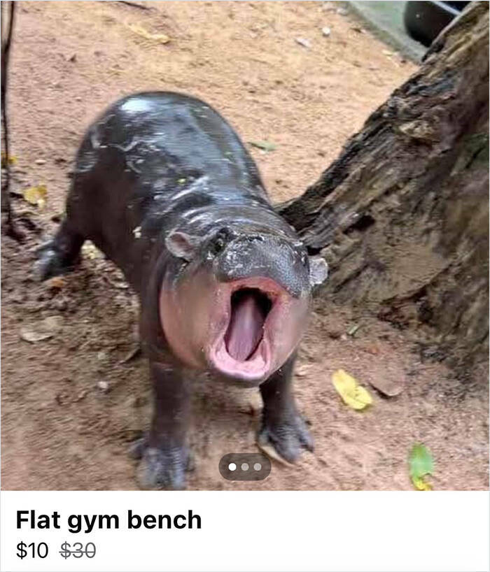 Outrageous Ads People Posted That Somehow Expected Buyers
