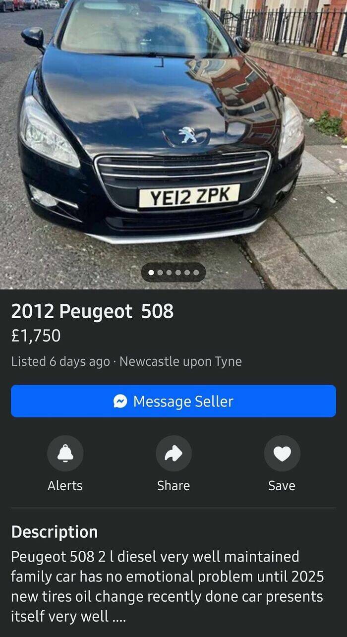 Outrageous Ads People Posted That Somehow Expected Buyers