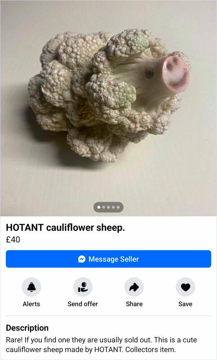 Outrageous Ads People Posted That Somehow Expected Buyers