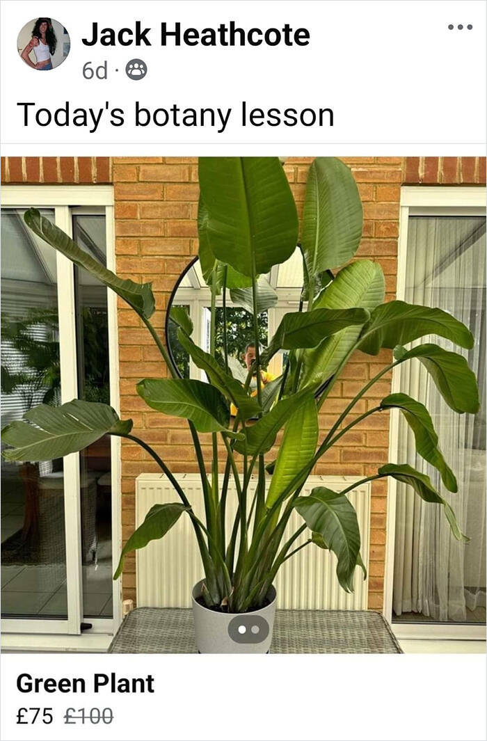 Outrageous Ads People Posted That Somehow Expected Buyers