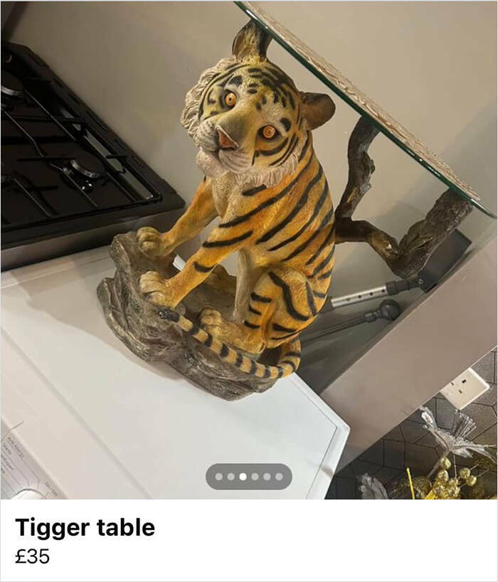 Outrageous Ads People Posted That Somehow Expected Buyers