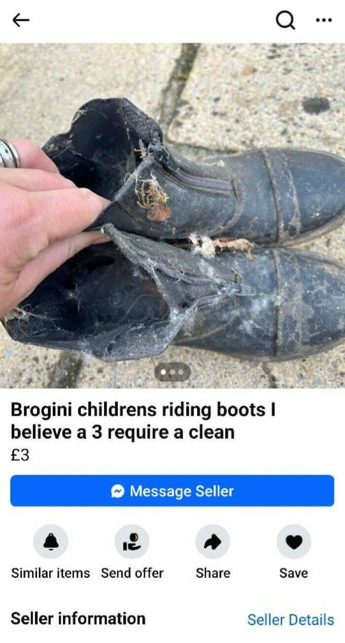 Outrageous Ads People Posted That Somehow Expected Buyers