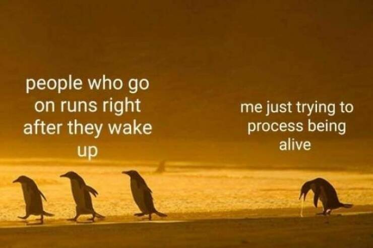 Hilarious Memes For When You Need A Break From Everything