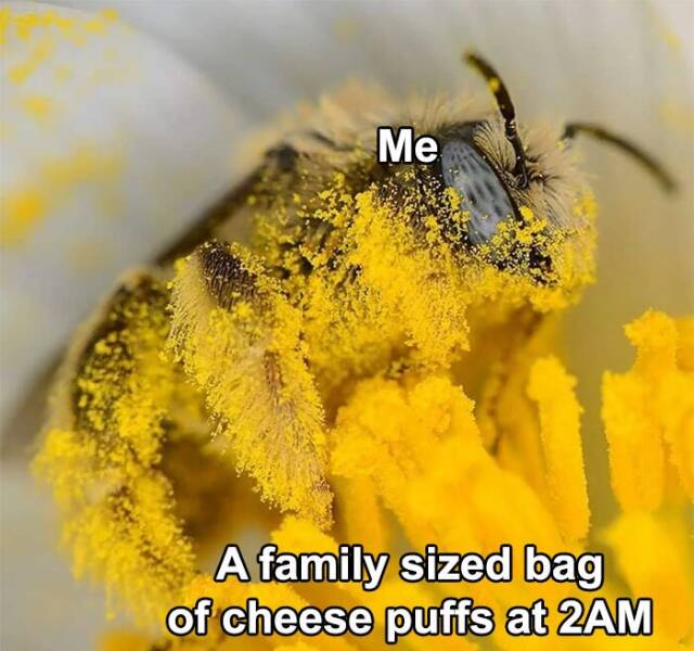 Hilarious Memes For When You Need A Break From Everything