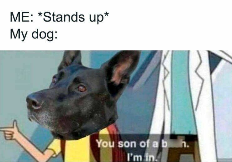 Hilarious Memes For When You Need A Break From Everything