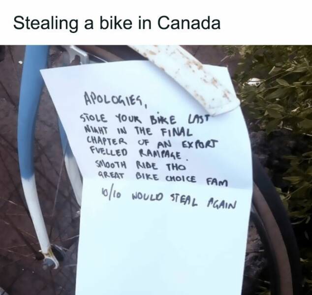 Hilarious Memes For When You Need A Break From Everything