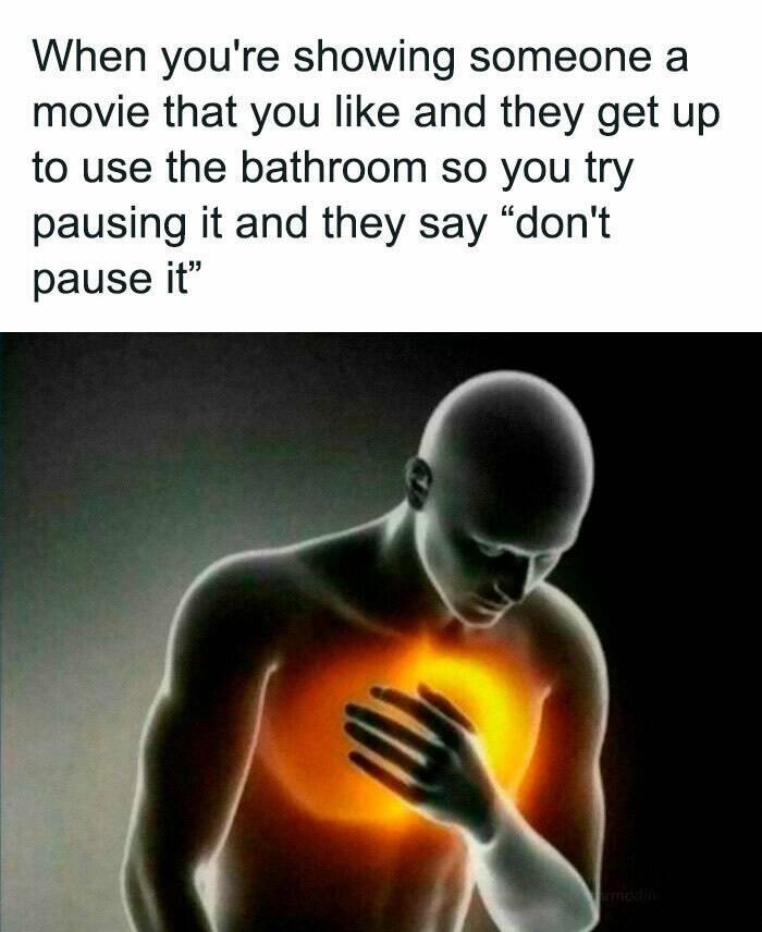 Hilarious Memes For When You Need A Break From Everything