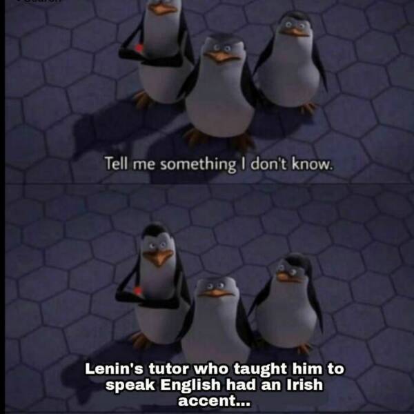 History Memes That Make Learning Way More Fun