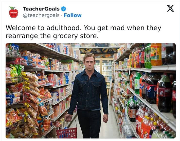 Memes That Perfectly Capture The Struggles Of Adulthood