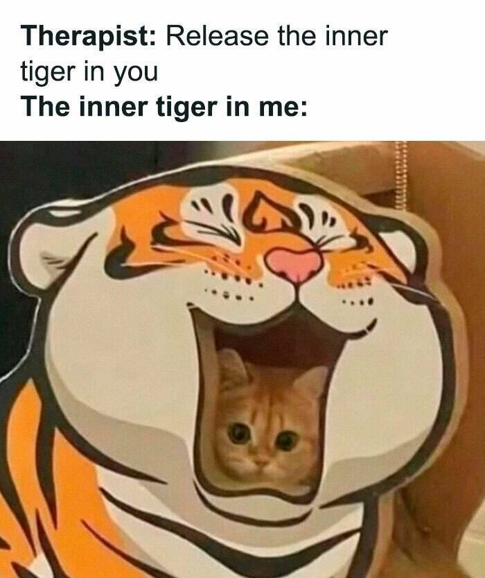 Ridiculously Funny Memes That Came Out Of Nowhere