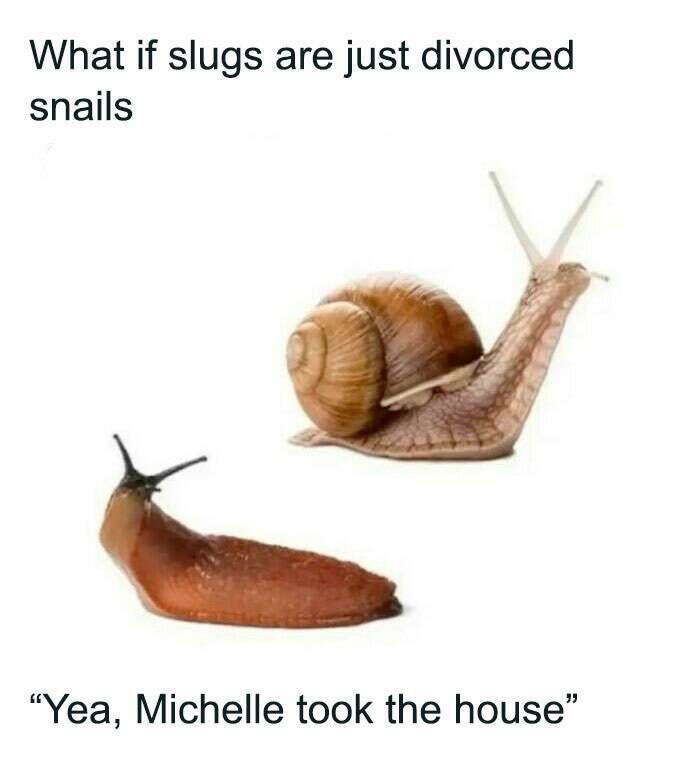 Ridiculously Funny Memes That Came Out Of Nowhere