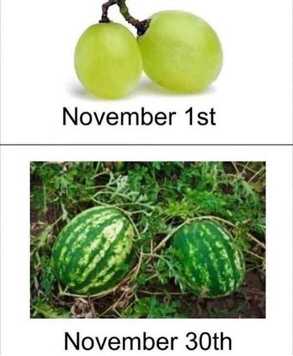 The Funniest ‘No Nut November’ Memes To Get You Through The Month The Funniest ‘No Nut November’ Memes To Get You Through The Month