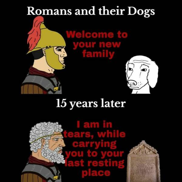History Memes That Are Both Hilarious And Brutally Honest History Memes That Are Both Hilarious And Brutally Honest