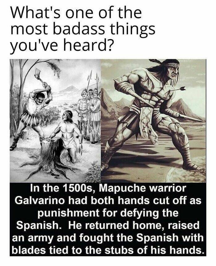 History Memes That Are Both Hilarious And Brutally Honest History Memes That Are Both Hilarious And Brutally Honest