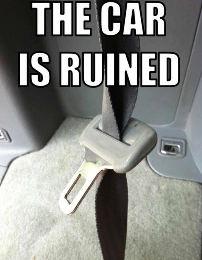 Car Memes Guaranteed To Fuel Your Laughter