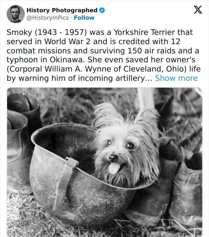 Rare Photos From History That Shed Light On Our World Rare Photos From History That Shed Light On Our World