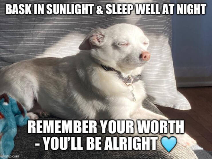 A Minute Of Wholesomeness A Minute Of Wholesomeness