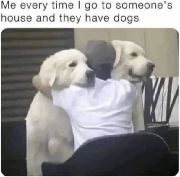 A Minute Of Wholesomeness A Minute Of Wholesomeness