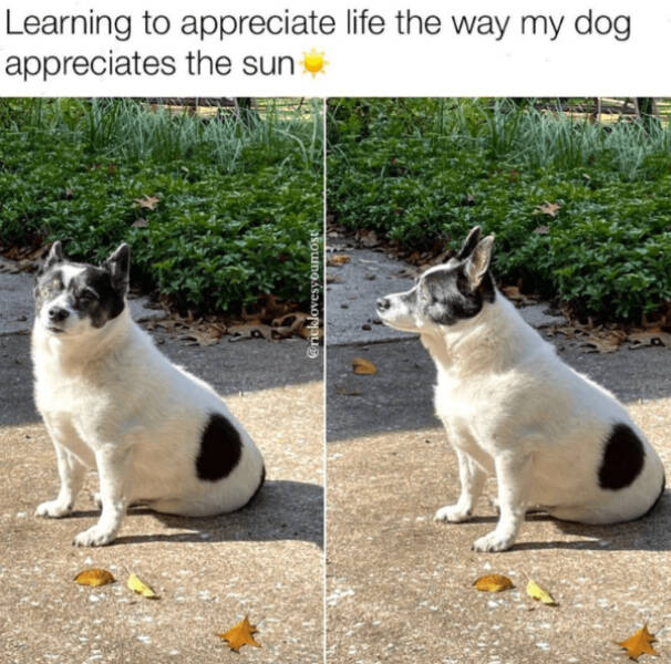 A Minute Of Wholesomeness A Minute Of Wholesomeness