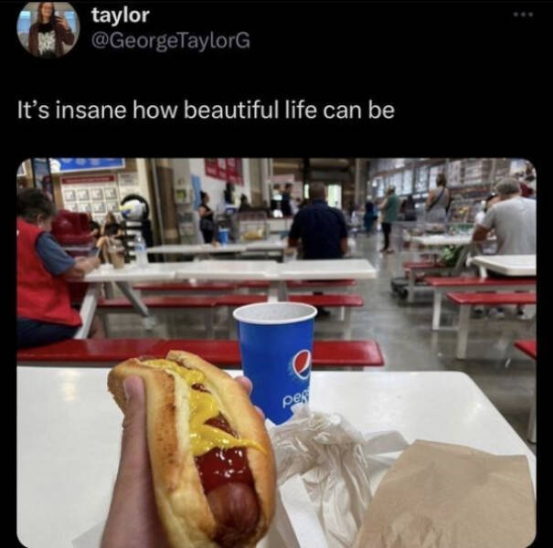 A Minute Of Wholesomeness A Minute Of Wholesomeness