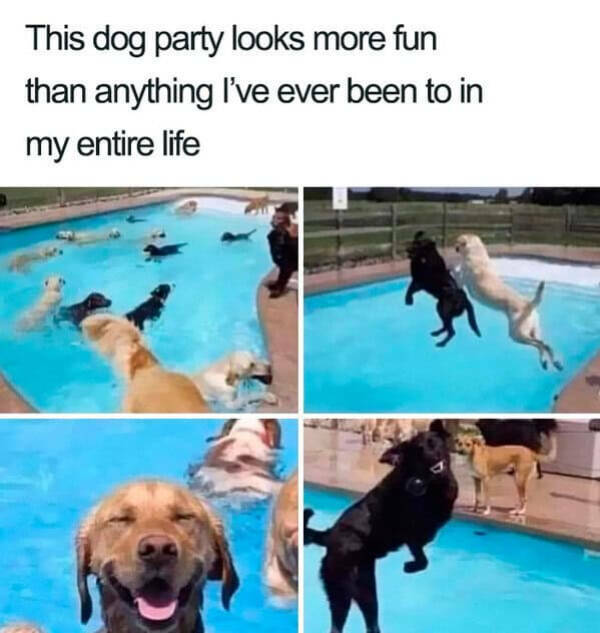 A Minute Of Wholesomeness A Minute Of Wholesomeness