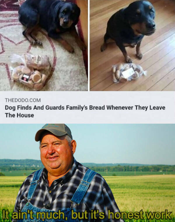 A Minute Of Wholesomeness A Minute Of Wholesomeness