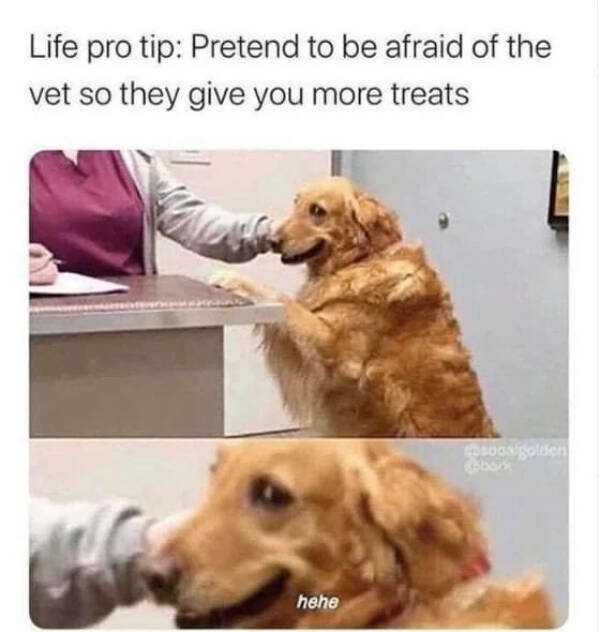 A Minute Of Wholesomeness A Minute Of Wholesomeness