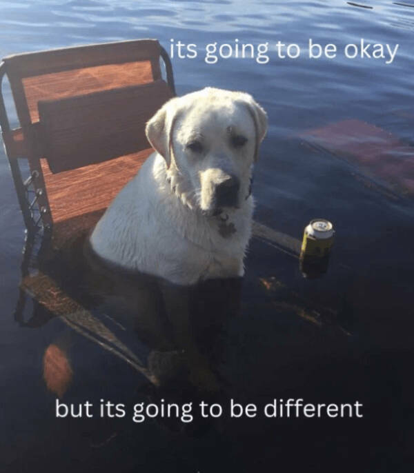 A Minute Of Wholesomeness A Minute Of Wholesomeness