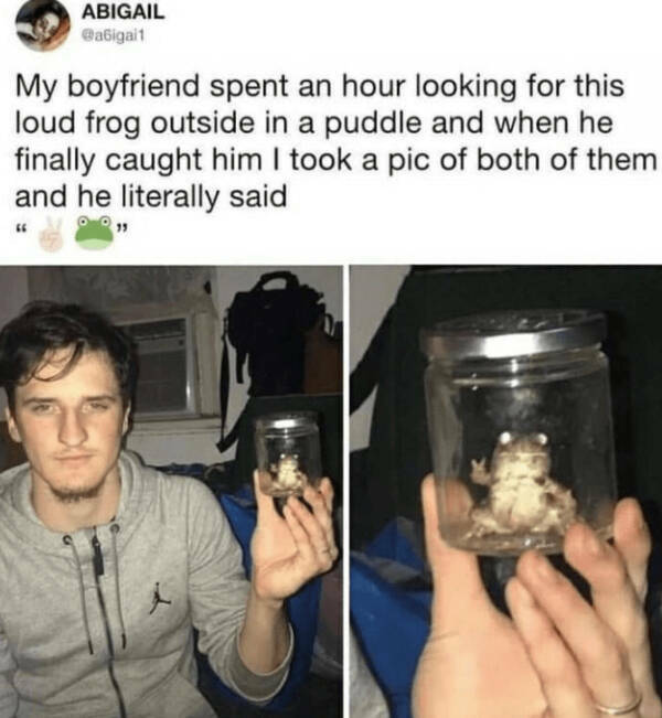 A Minute Of Wholesomeness A Minute Of Wholesomeness