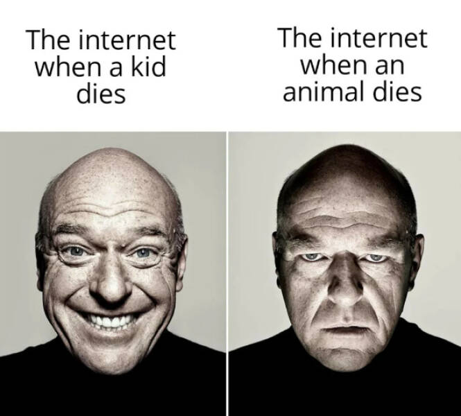 Don’t Laugh If You Don’t Wanna Lose! Don’t Laugh If You Don’t Wanna Lose!