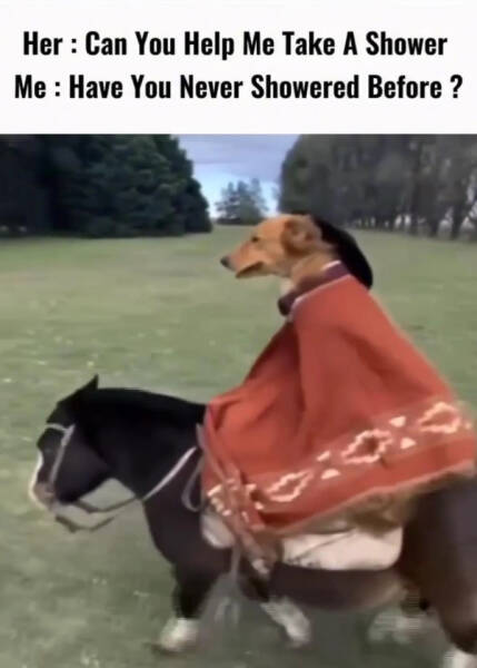 Don’t Laugh If You Don’t Wanna Lose! Don’t Laugh If You Don’t Wanna Lose!