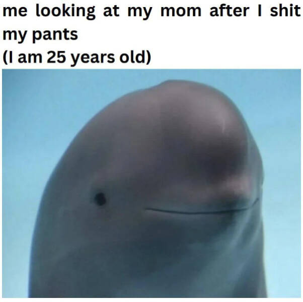 Don’t Laugh If You Don’t Wanna Lose! Don’t Laugh If You Don’t Wanna Lose!