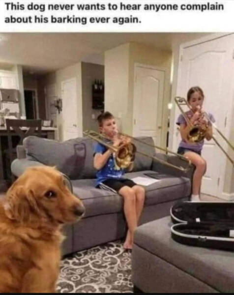 Don’t Laugh If You Don’t Wanna Lose! Don’t Laugh If You Don’t Wanna Lose!