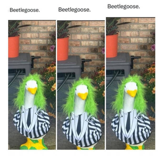 Don’t Laugh If You Don’t Wanna Lose! Don’t Laugh If You Don’t Wanna Lose!