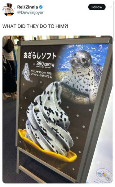 Don’t Laugh If You Don’t Wanna Lose! Don’t Laugh If You Don’t Wanna Lose!