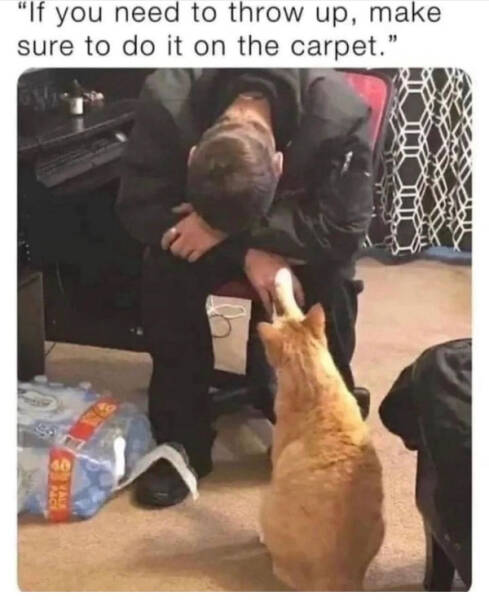 Don’t Laugh If You Don’t Wanna Lose! Don’t Laugh If You Don’t Wanna Lose!