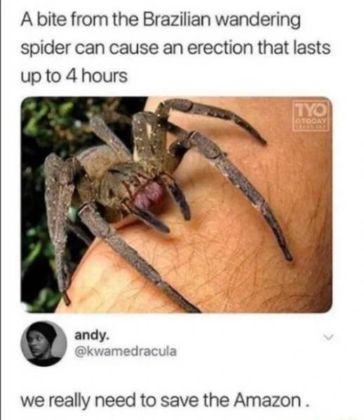 Don’t Laugh If You Don’t Wanna Lose! Don’t Laugh If You Don’t Wanna Lose!