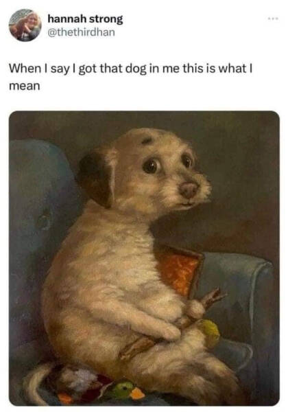 Don’t Laugh If You Don’t Wanna Lose! Don’t Laugh If You Don’t Wanna Lose!