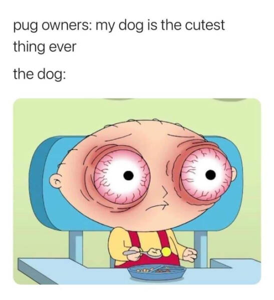 Don’t Laugh If You Don’t Wanna Lose! Don’t Laugh If You Don’t Wanna Lose!