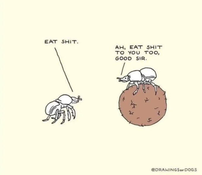 Don’t Laugh If You Don’t Wanna Lose! Don’t Laugh If You Don’t Wanna Lose!