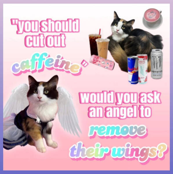 Don’t Laugh If You Don’t Wanna Lose! Don’t Laugh If You Don’t Wanna Lose!